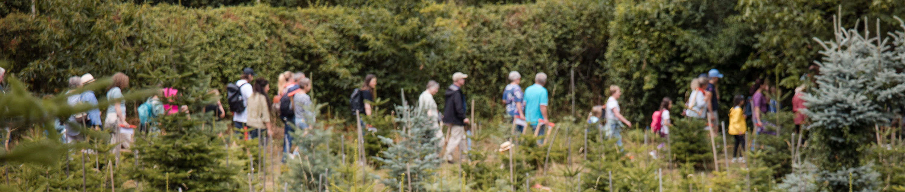 Zuschauer wandern zur nächsten Szene Zuschauer wandern zur nächsten Szene
